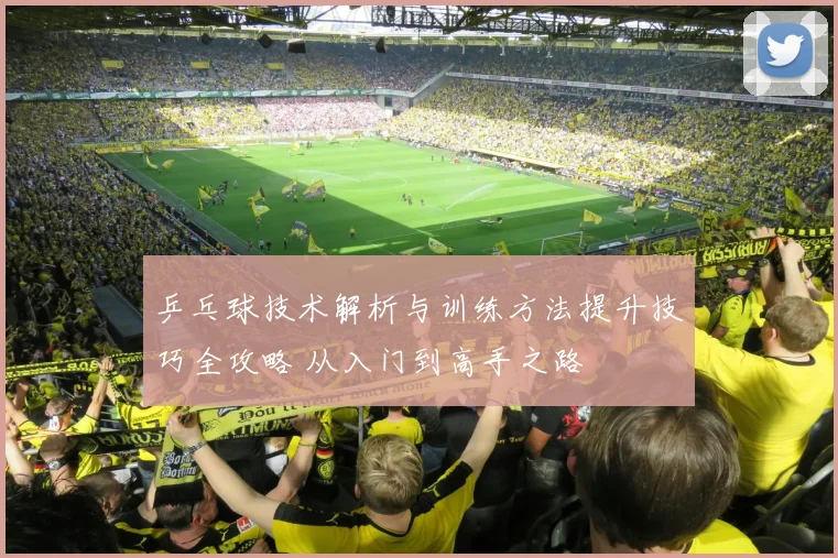 乒乓球技术解析与训练方法提升技巧全攻略 从入门到高手之路