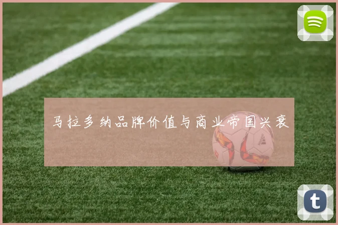 马拉多纳品牌价值与商业帝国兴衰
