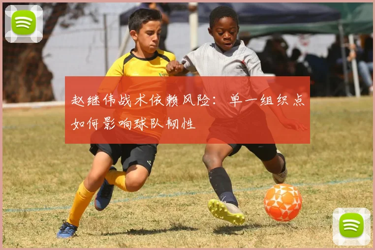 赵继伟战术依赖风险：单一组织点如何影响球队韧性