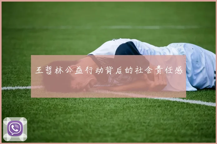 王哲林公益行动背后的社会责任感