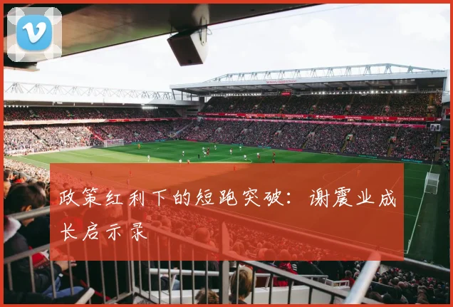 政策红利下的短跑突破：谢震业成长启示录