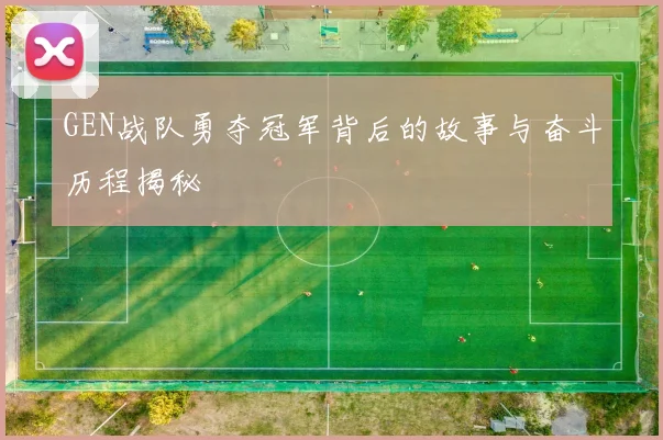 GEN战队勇夺冠军背后的故事与奋斗历程揭秘