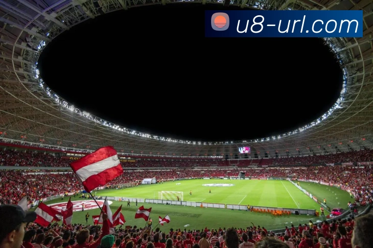 u8国际平台生态图